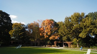 B&auml;ume im Botanischen Garten in Augsburg